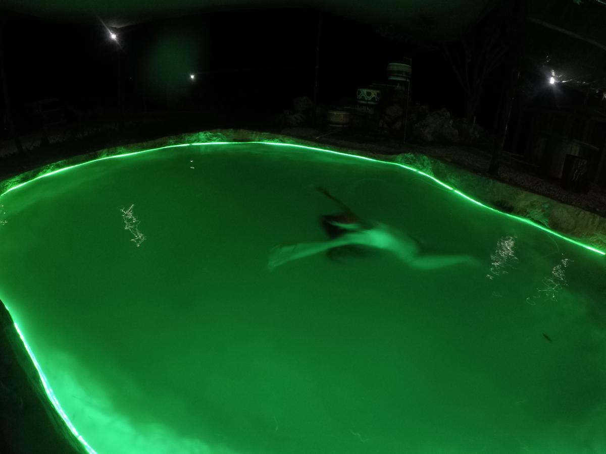 Eco Camping Valladolid Valladolid  Luaran gambar
